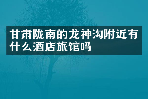 甘肃陇南的龙神沟附近有什么酒店旅馆吗
