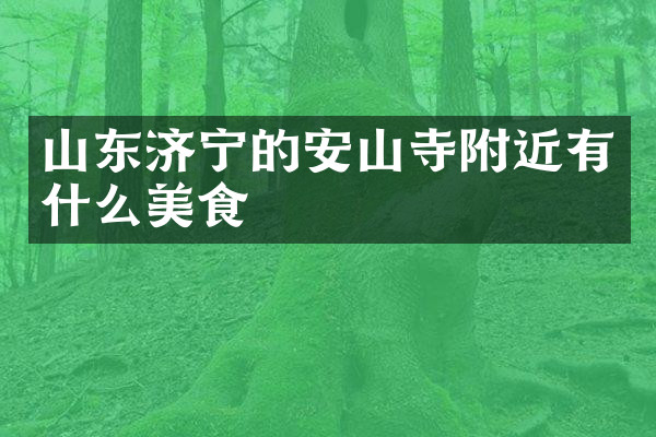 山东济宁的安山寺附近有什么美食
