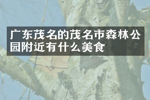 广东茂名的茂名市森林公园附近有什么美食