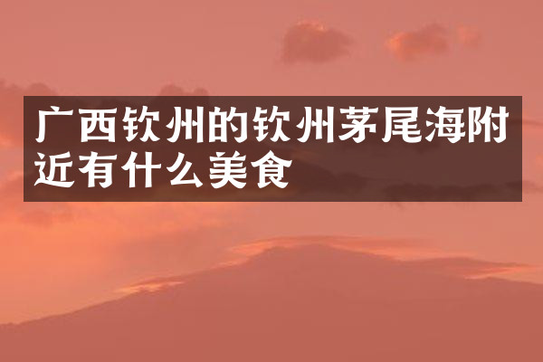广西钦州的钦州茅尾海附近有什么美食