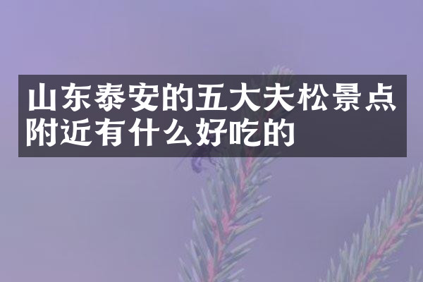 山东泰安的五大夫松景点附近有什么好吃的