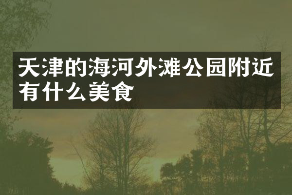 天津的海河外滩公园附近有什么美食