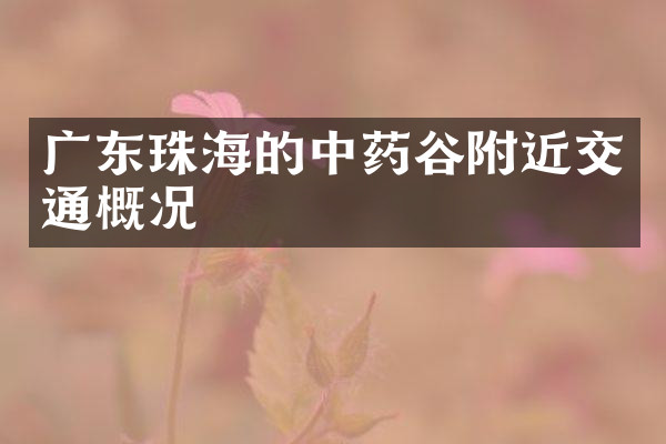 广东珠海的中药谷附近交通概况