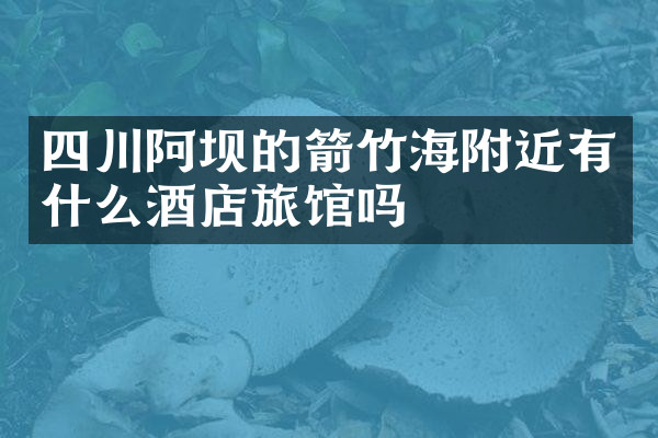 四川阿坝的箭竹海附近有什么酒店旅馆吗