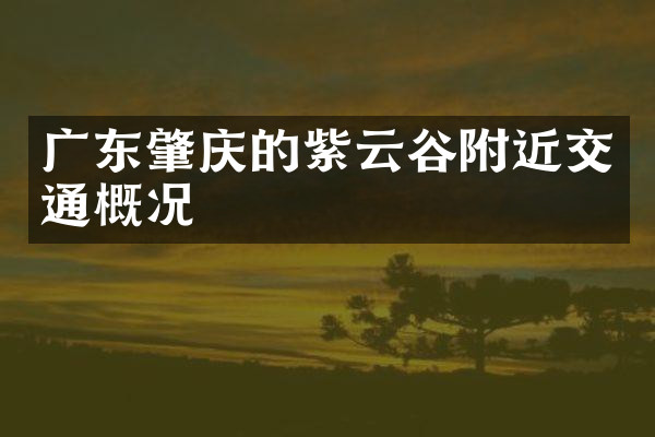 广东肇庆的紫云谷附近交通概况