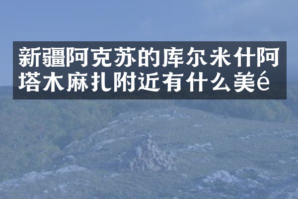 新疆阿克苏的库尔米什阿塔木麻扎附近有什么美食