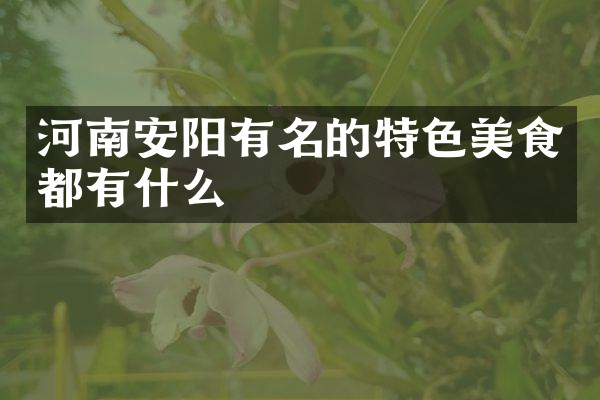 河南安阳有名的特色美食都有什么