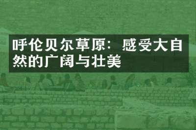 呼伦贝尔草原：感受大自然的广阔与壮美