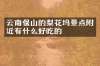 云南保山的梨花坞景点附近有什么好吃的