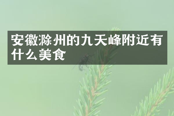 安徽滁州的九天峰附近有什么美食