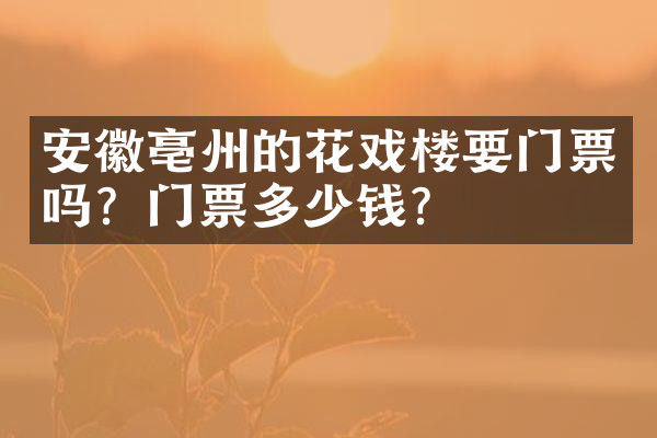 安徽亳州的花戏楼要门票吗？门票多少钱？