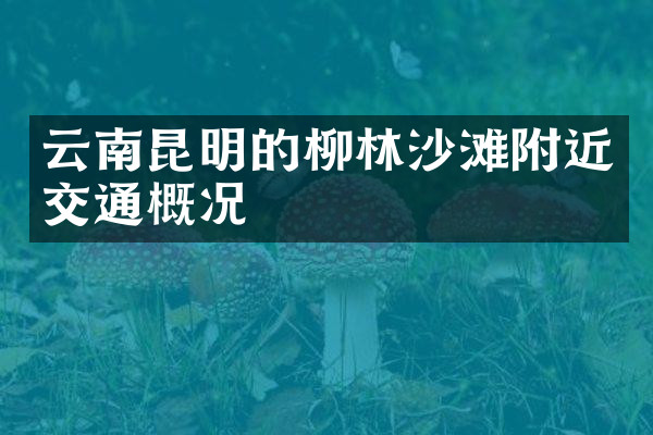 云南昆明的柳林沙滩附近交通概况