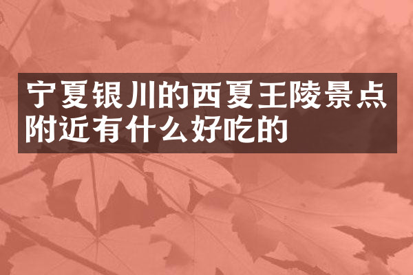 宁夏银川的西夏王陵景点附近有什么好吃的