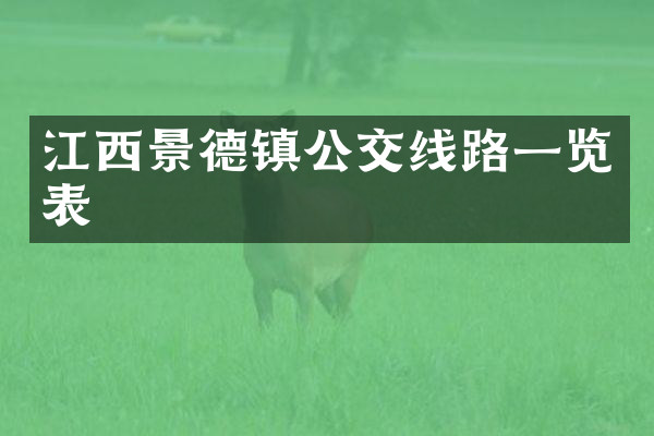 江西景德镇公交线路一览表