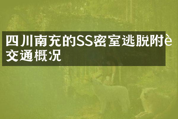 四川南充的SS密室逃脱附近交通概况