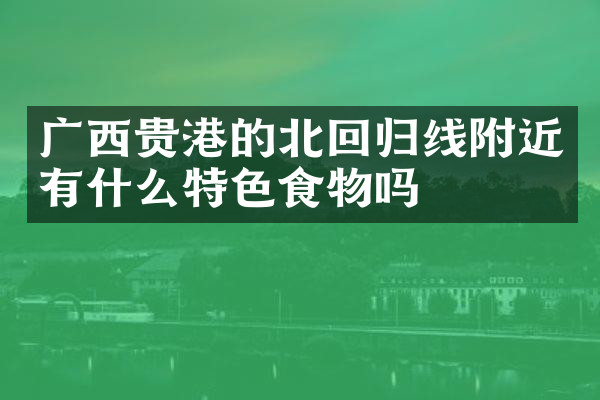 广西贵港的北回归线附近有什么特色食物吗