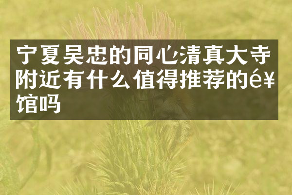 宁夏吴忠的同心清真大寺附近有什么值得推荐的饭馆吗