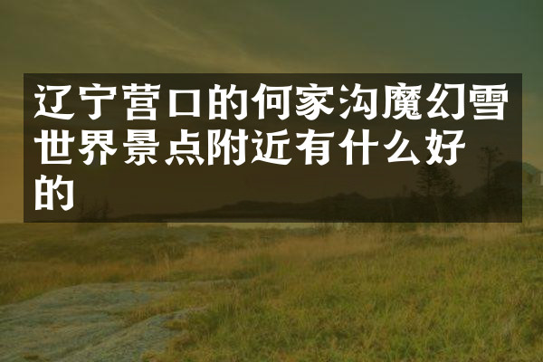 辽宁营口的何家沟魔幻雪世界景点附近有什么好吃的
