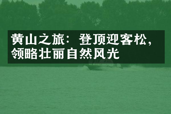 黄山之旅：登顶迎客松，领略壮丽自然风光