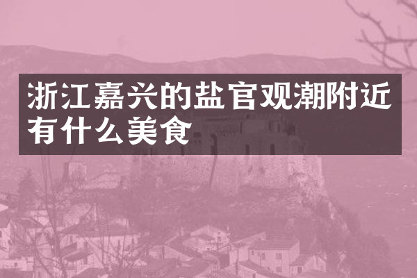 浙江嘉兴的盐官观潮附近有什么美食