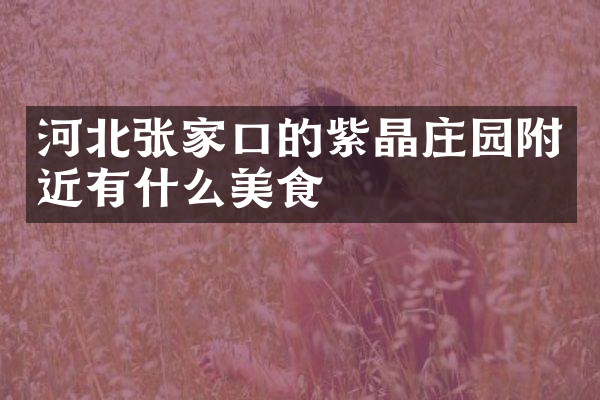 河北张家口的紫晶庄园附近有什么美食