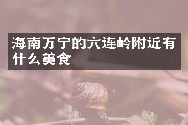 海南万宁的六连岭附近有什么美食