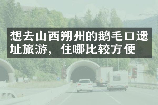 想去山西朔州的鹅毛口遗址旅游，住哪比较方便