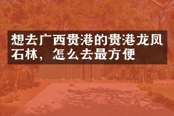 想去广西贵港的贵港龙凤石林，怎么去最方便