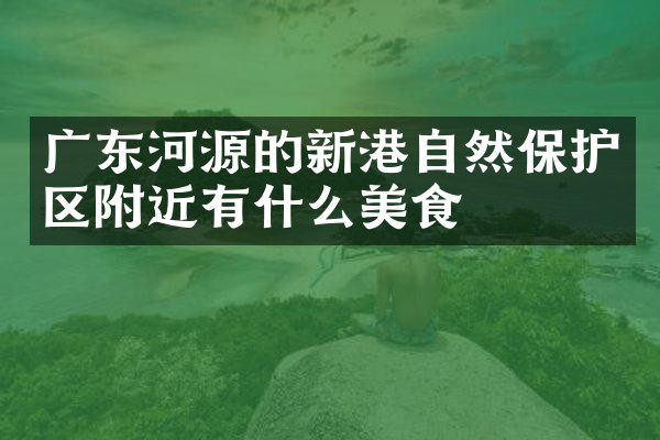 广东河源的新港自然保护区附近有什么美食