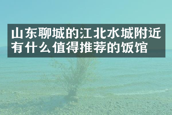 山东聊城的江北水城附近有什么值得推荐的饭馆吗