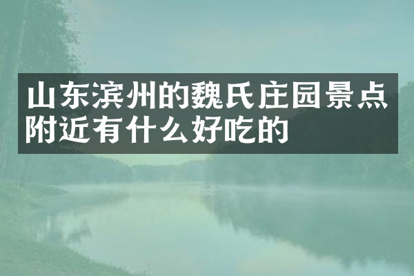 山东滨州的魏氏庄园景点附近有什么好吃的