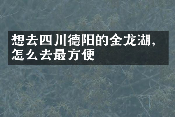 想去四川德阳的金龙湖，怎么去最方便