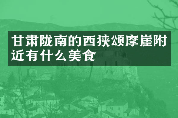 甘肃陇南的西狭颂摩崖附近有什么美食