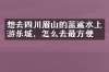 想去四川眉山的蓝鲨水上游乐城，怎么去最方便