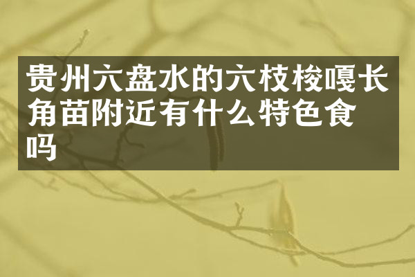 贵州六盘水的六枝梭嘎长角苗附近有什么特色食物吗