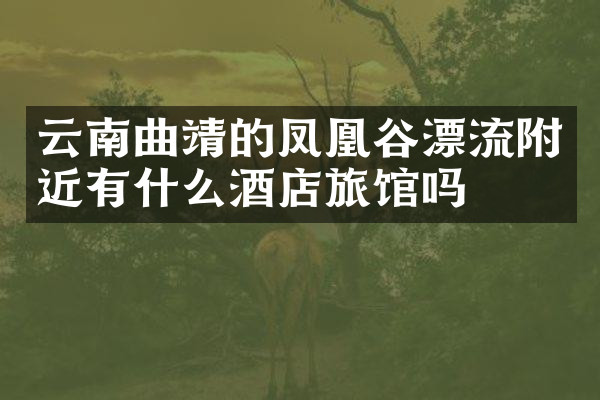 云南曲靖的凤凰谷漂流附近有什么酒店旅馆吗