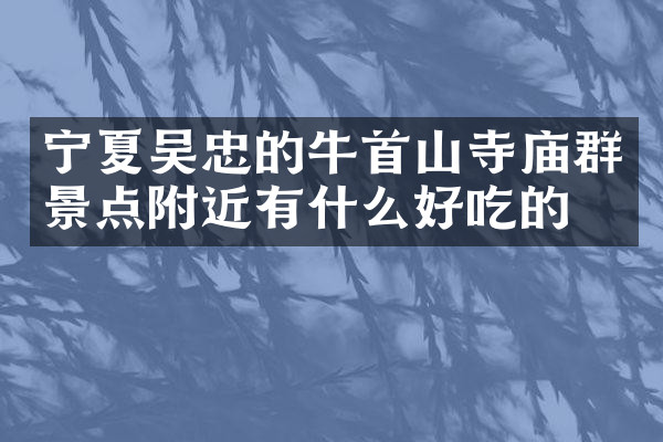 宁夏吴忠的牛首山寺庙群景点附近有什么好吃的