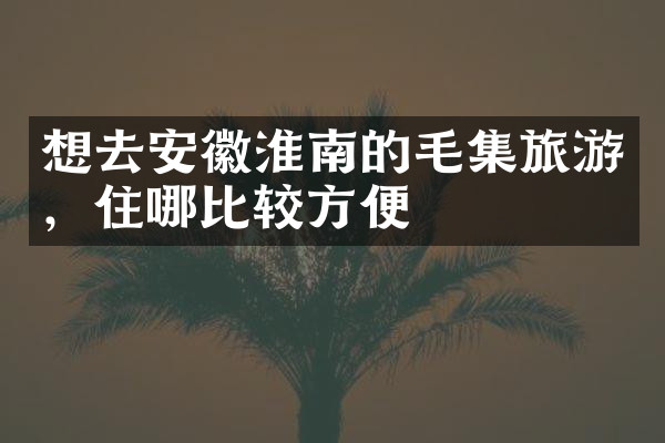 想去安徽淮南的毛集旅游，住哪比较方便