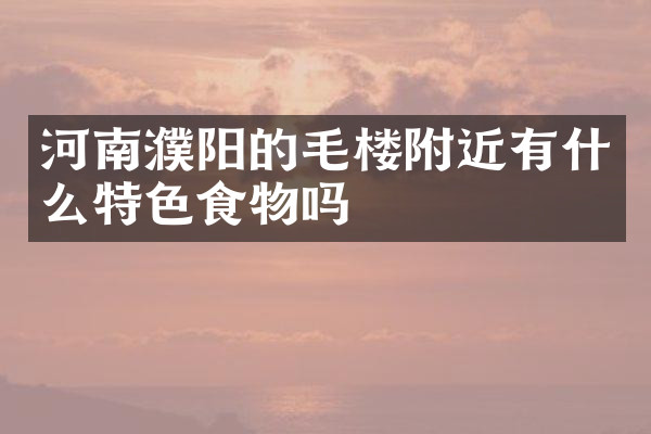 河南濮阳的毛楼附近有什么特色食物吗