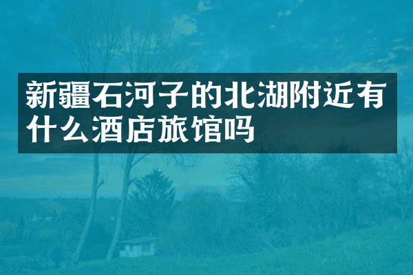 新疆石河子的北湖附近有什么酒店旅馆吗