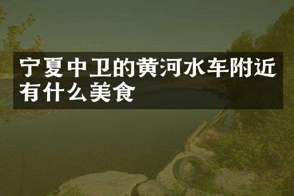 宁夏中卫的黄河水车附近有什么美食