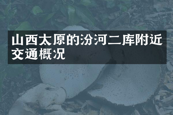 山西太原的汾河二库附近交通概况