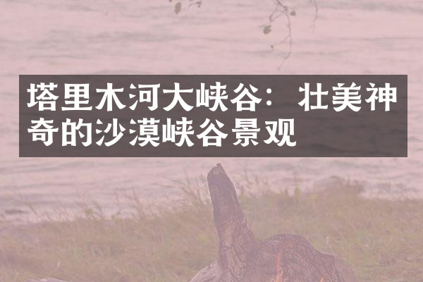 塔里木河大峡谷：壮美神奇的沙漠峡谷景观