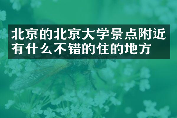 北京的北京大学景点附近有什么不错的住的地方吗