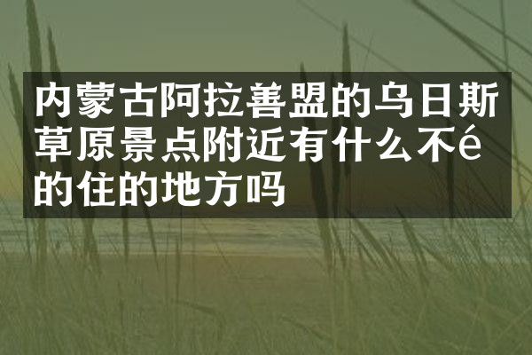 内蒙古阿拉善盟的乌日斯草原景点附近有什么不错的住的地方吗