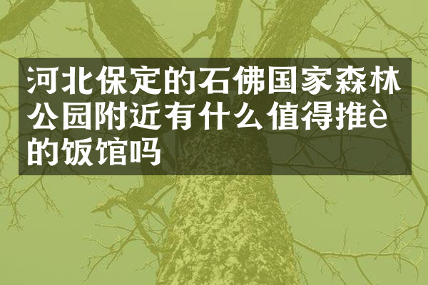 河北保定的石佛国家森林公园附近有什么值得推荐的饭馆吗