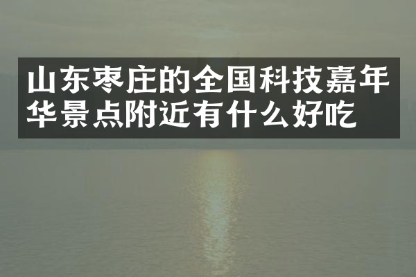 山东枣庄的全国科技嘉年华景点附近有什么好吃的