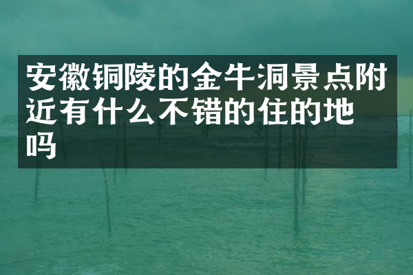 安徽铜陵的金牛洞景点附近有什么不错的住的地方吗