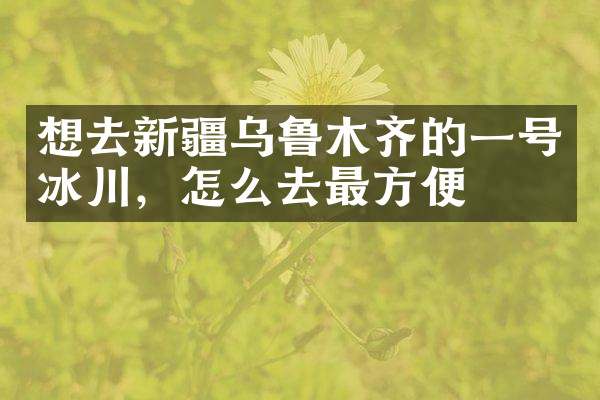 想去新疆乌鲁木齐的一号冰川，怎么去最方便
