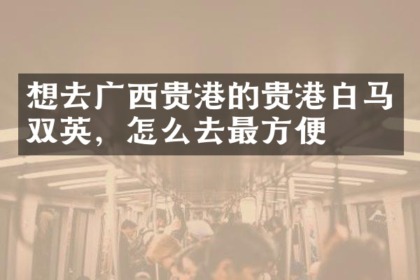 想去广西贵港的贵港白马双英，怎么去最方便